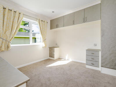 Picture 8